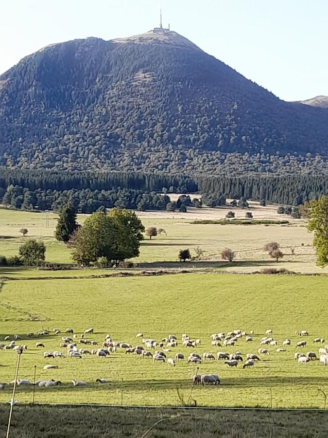 A 5 Mns Du Puy De Dome Avec Vue Imprenable Studio Rez De Jardin 24M2 Neuf A Laschamps Saint-Genès-Champanelle Buitenkant foto